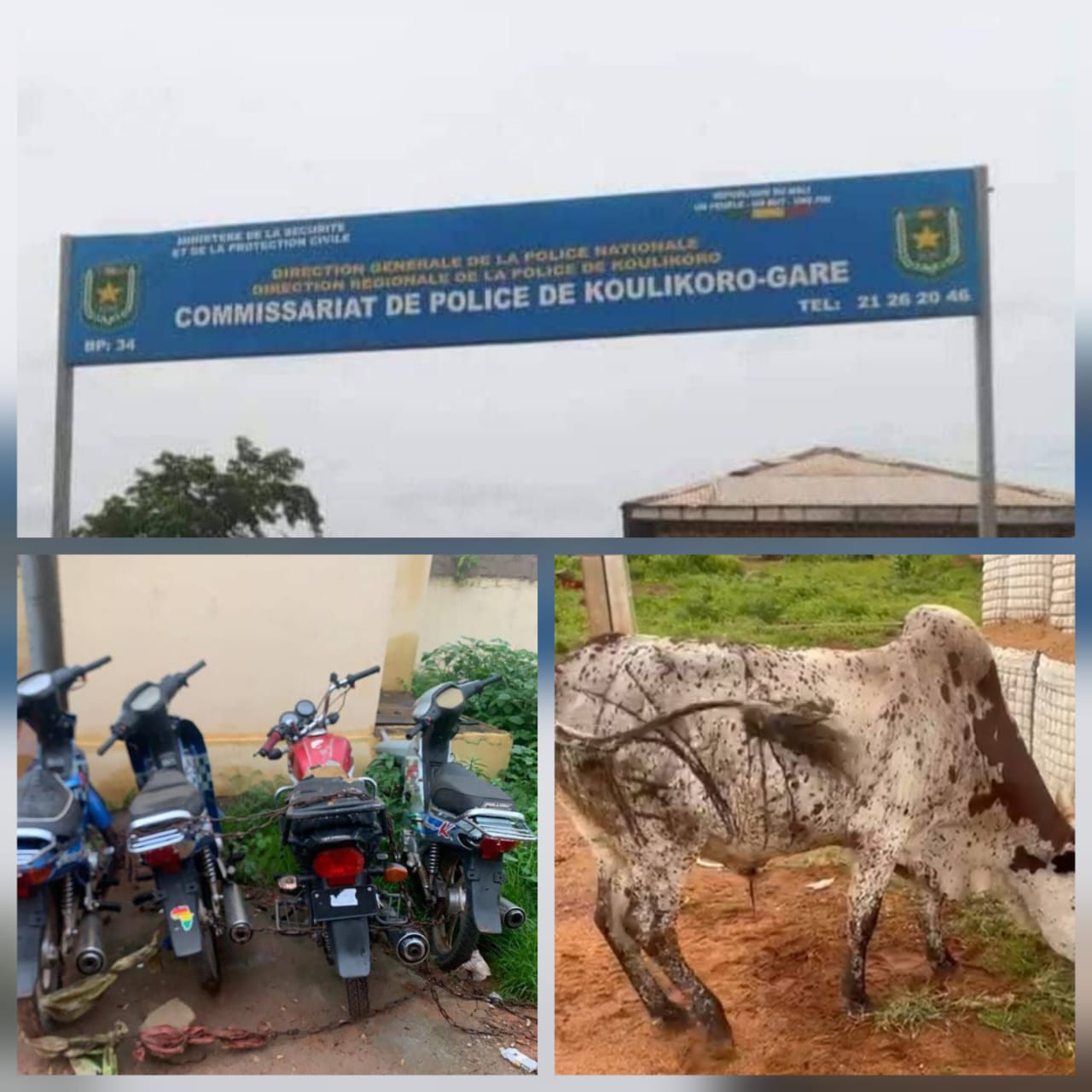 Opération réussie à Koulikoro : la police arrête trois voleurs